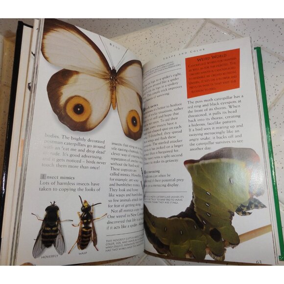 Vintage Secret Worlds Bugs A Close Up View of the Insect World Hardcover Book - Picture 5 of 16